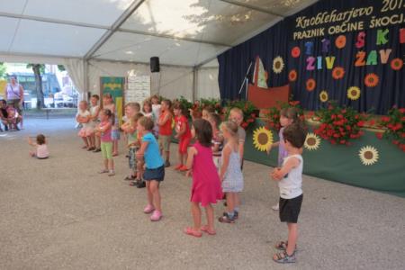 KNOBLEHARJEVO 2012- Otroški živ žav 18